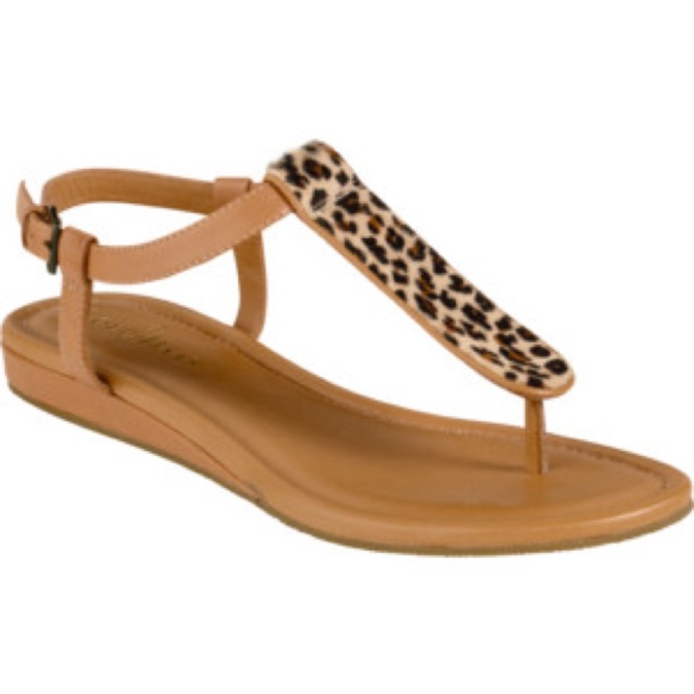 Cole Haan Molly Flat Thong Sandals